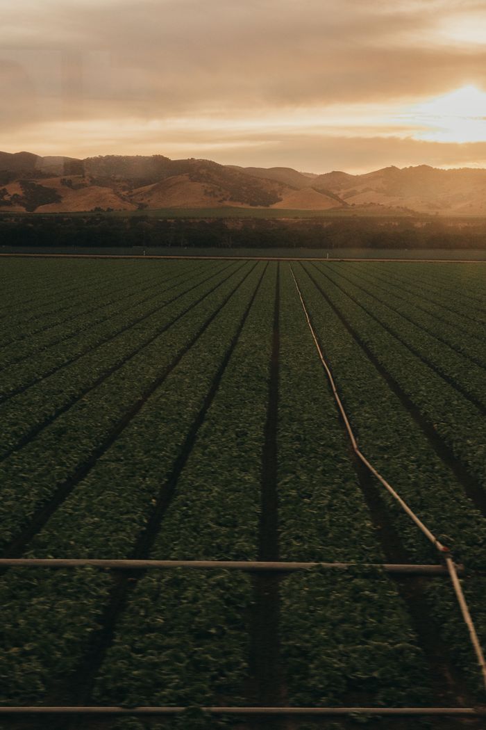 Sunset view of expansive agricultural fields with mountain backdrop in California.