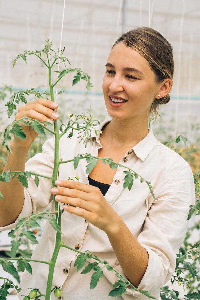 Woman tending to tomato plants in a greenhouse, promoting sustainable agriculture.